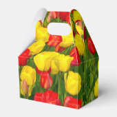 Ballotins Tulipes colorées (Arrière)