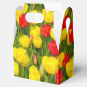Ballotins Tulipes colorées (Ouvert)