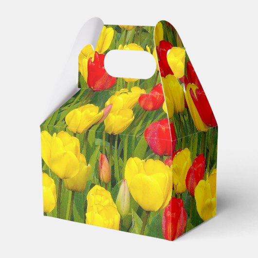 Ballotins Tulipes colorées (Verso)