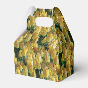 Ballotins Tulipes jaunes soleil