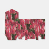 Ballotins Tulipes roses florales (Déplié)