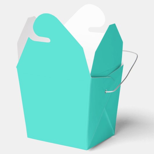 Ballotins Turquoise (Ouvert)