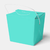 Ballotins Turquoise (Arrière)