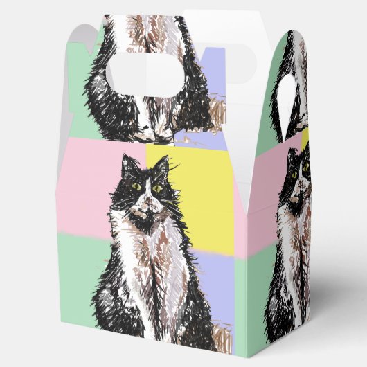 Ballotins Tuxedo Chat Cute Chats Noir Blanc Pastel Arc-en-ci (Ouvert)