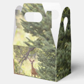 Ballotins Un cerf solitaire (Ouvert)