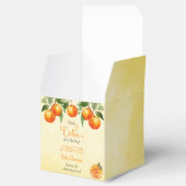 Ballotins Un petit Baby shower d'aquarelle Citrus Cutie (Ouvert)