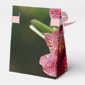 Ballotins Vanda Orchid Cluster Tente d'anniversaire (Arrière)