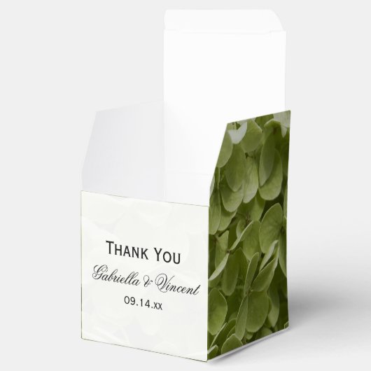 Ballotins Vert Annabelle Hydrangea Mariage Floral (Ouvert)