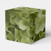 Ballotins Vert Annabelle Hydrangea Mariage Floral (Arrière)