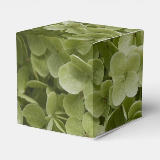 Ballotins Vert Annabelle Hydrangea Mariage Floral (Arrière)