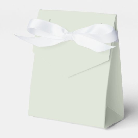Ballotins Vert Whisper Uni (Verso)
