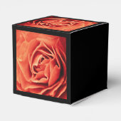 Ballotins vie rose (Arrière)