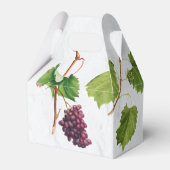 Ballotins Vignoble de raisins Ile grecque méditerranéenne (Arrière)