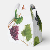 Ballotins Vignoble de raisins Méditerranée Grec Mariage (Arrière)