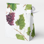 Ballotins Vignoble de raisins Méditerranée Grec Mariage (Arrière)