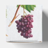 Ballotins Vignoble de raisins Méditerranée Grec Mariage (Haut)