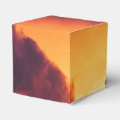 Ballotins w par temps (Arrière)