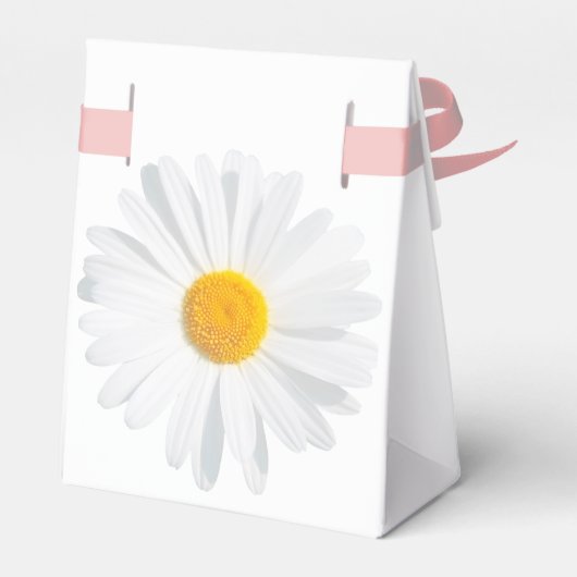 Ballotins White (Arrière)