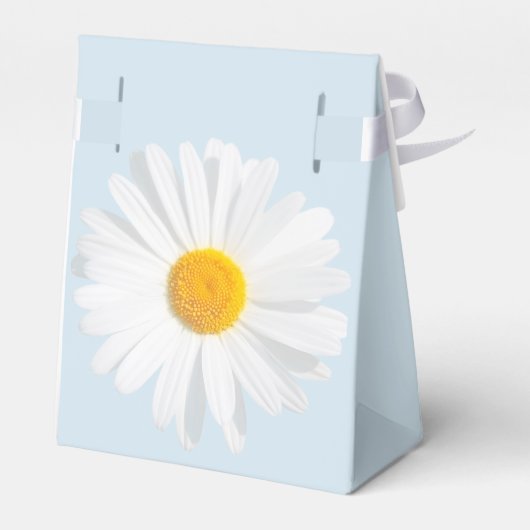 Ballotins White (Arrière)