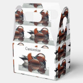 Ballotins Wood Duck (Ouvert)