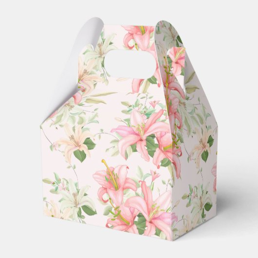 Ballotins Zone de préférence du parti (Arrière)