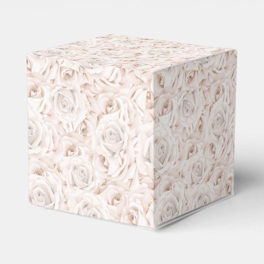 Ballotins Zone de préférence du parti (Arrière)