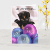 Ballotte Anniversaire : Funny Kitten Carte d'Anniv (Fleur jaune)