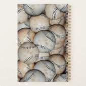 Balls de softball / Bassets (Dos)