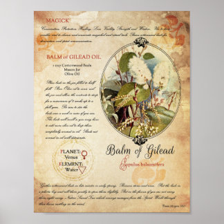 BALM VAN GILEAD POSTER