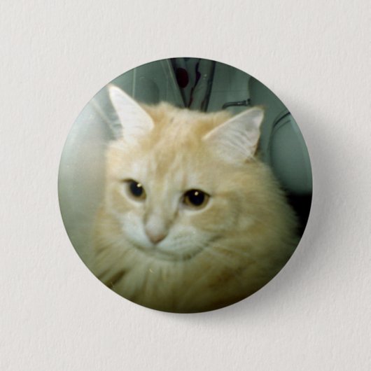 Baloo Boton Ronde Button 5,7 Cm (Voorkant)