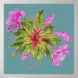 Balsam Bouquet Poster