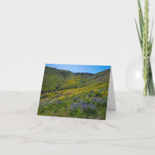 Balsam en Lupine lente bloei blanco Kaart