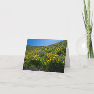 Balsam en Lupine Superbloom blanco Kaart