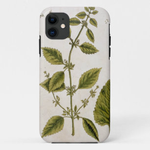 Balsem, plaat 27 uit 'A Curious Herbal', gepublice iPhone 11 Hoesje
