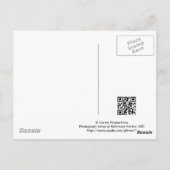 Baltimore, carte postale du Maryland (Dos)