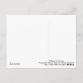 Baltimore, carte postale du Maryland (Dos)