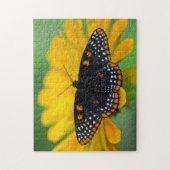 Baltimore Checkered Spot Butterfly Legpuzzel (Verticaal)