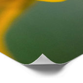 Baltimore Checkered Spot Butterfly Poster (Hoek)