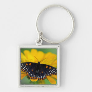 Baltimore Checkered Spot Vlinder Sleutelhanger