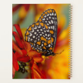 Baltimore-Checkered Vlinder Planner (Achterkant)