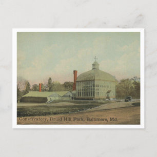 Baltimore MD Druid Hill Park Conservatorium 1910 Briefkaart