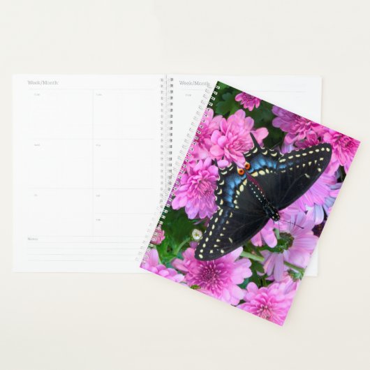 Baltimore Mozaïekvlinder Planner (Display)