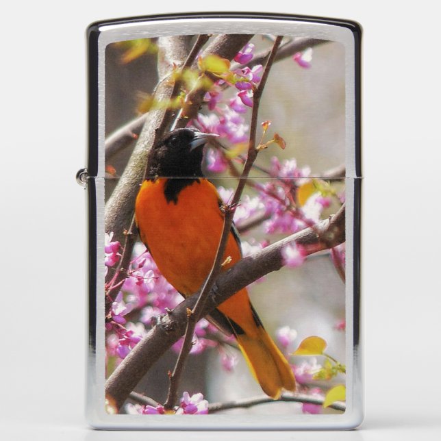 Baltimore Oriole (Voorkant)