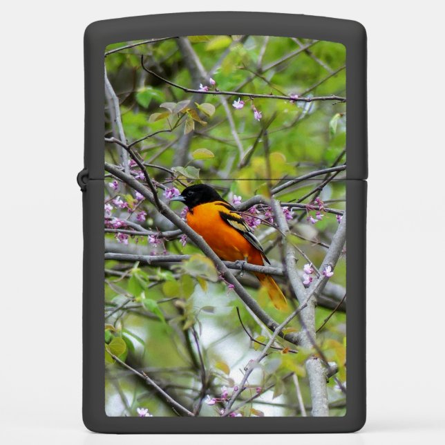 Baltimore Oriole (Voorkant)