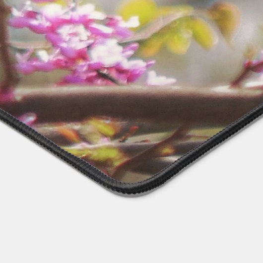 Baltimore Oriole (Coin)