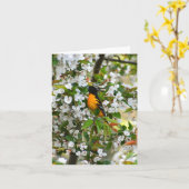 Baltimore Oriole #1 - Blank Note Kaart (Gele Bloem)