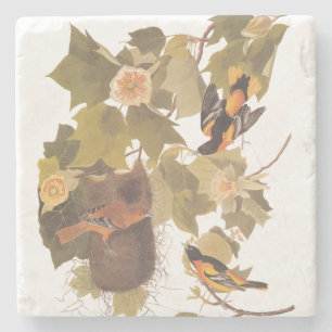 Baltimore Oriole Audubon Bird Family met Nest Stenen Onderzetter