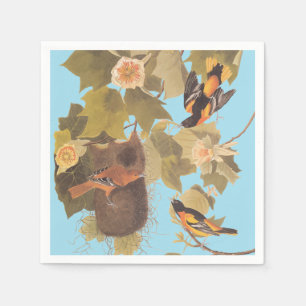 Baltimore Oriole Audubon Vogel Familie met Nest Servet