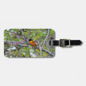 Baltimore Oriole Bagagelabel (Voorkant horizontaal)