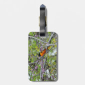 Baltimore Oriole Bagagelabel (Achterkant verticaal)